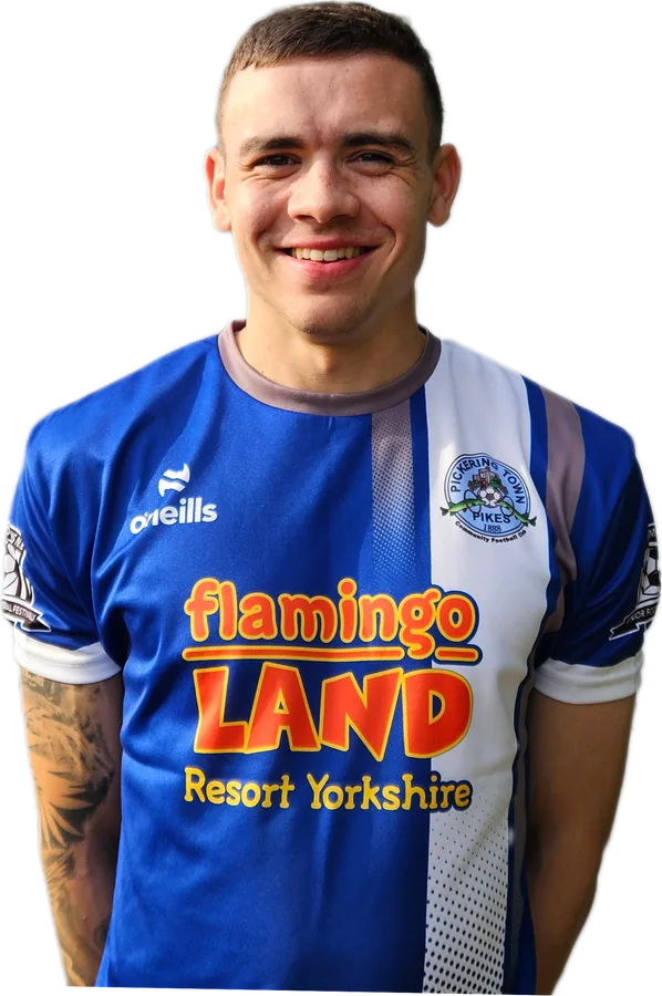 Nathan Dyer, Pickering Town